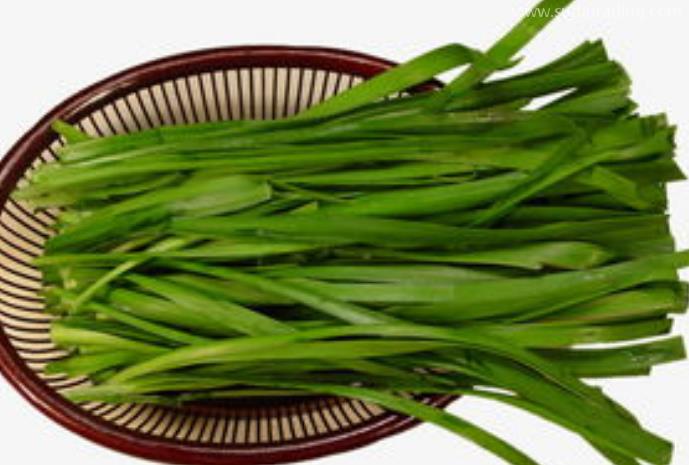 韭菜進(jìn)口報關(guān)清關(guān)知識有哪些？