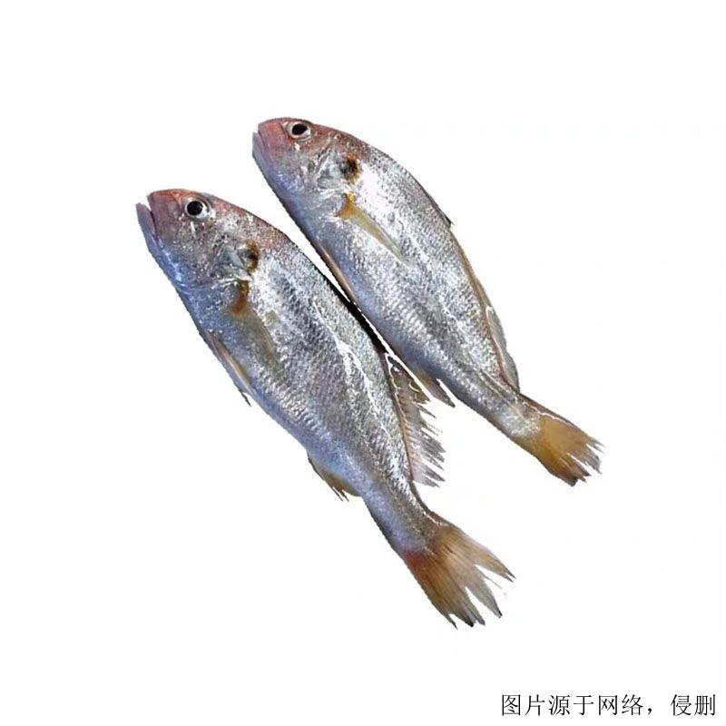 越南白姑魚進(jìn)口清關(guān)流程-19年廣州水產(chǎn)品進(jìn)口報(bào)關(guān)行